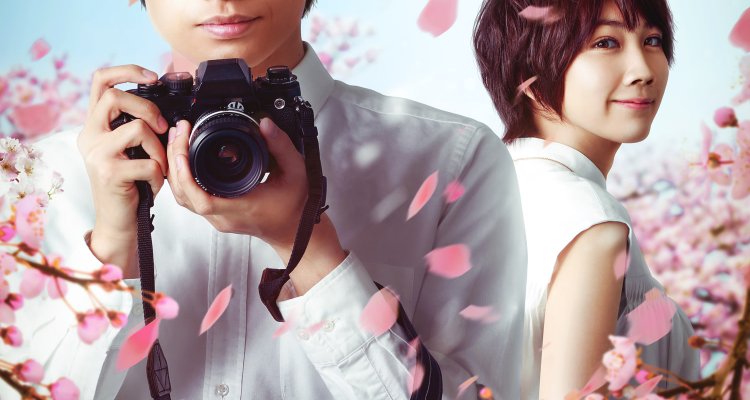 Il mio amore è un fiore di ciliegio (JPN), Film 2022
