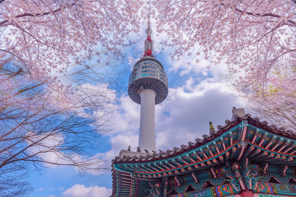 Il mio viaggio in Corea