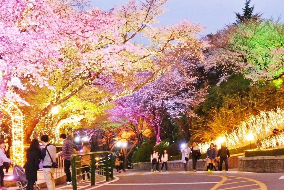 Sognando Seoul: disavventure social (parte II)