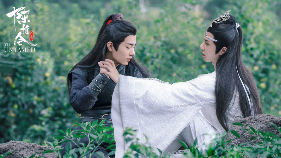 The Untamed: dal drama al libro